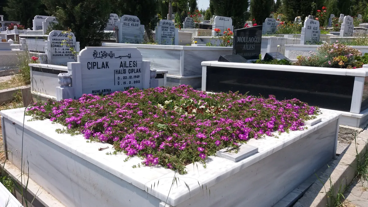 Mezar Peyzaj Örneği 32
